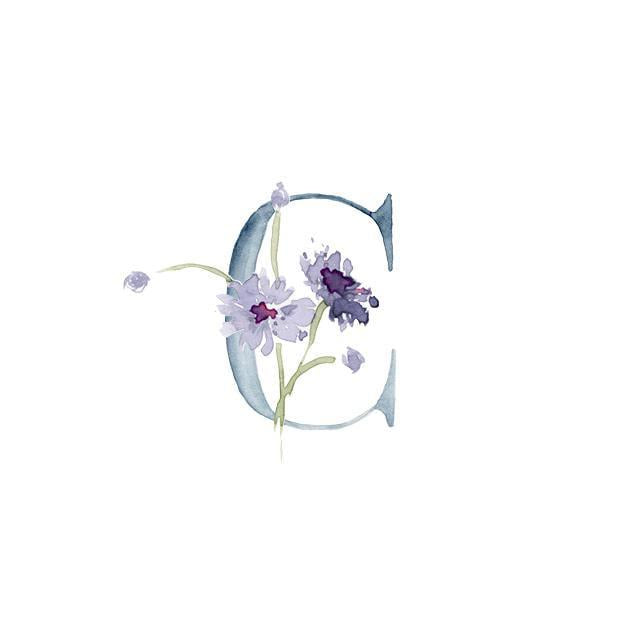 Wildflower Alphabet Notecard Set